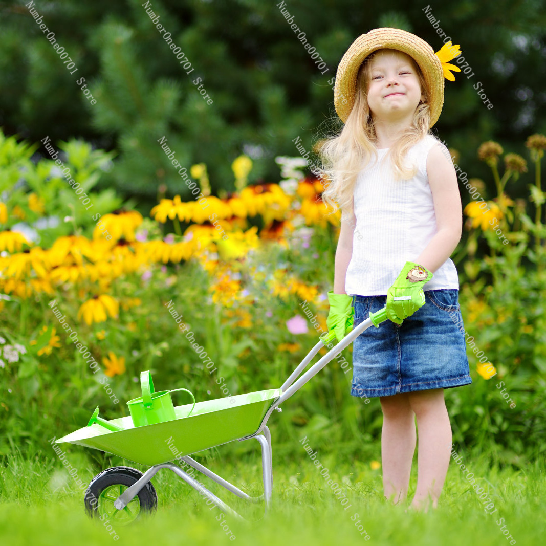 Gerobak Dorong Anak untuk Luar - Kids Outdoor Garden Toys ulasan dan harga