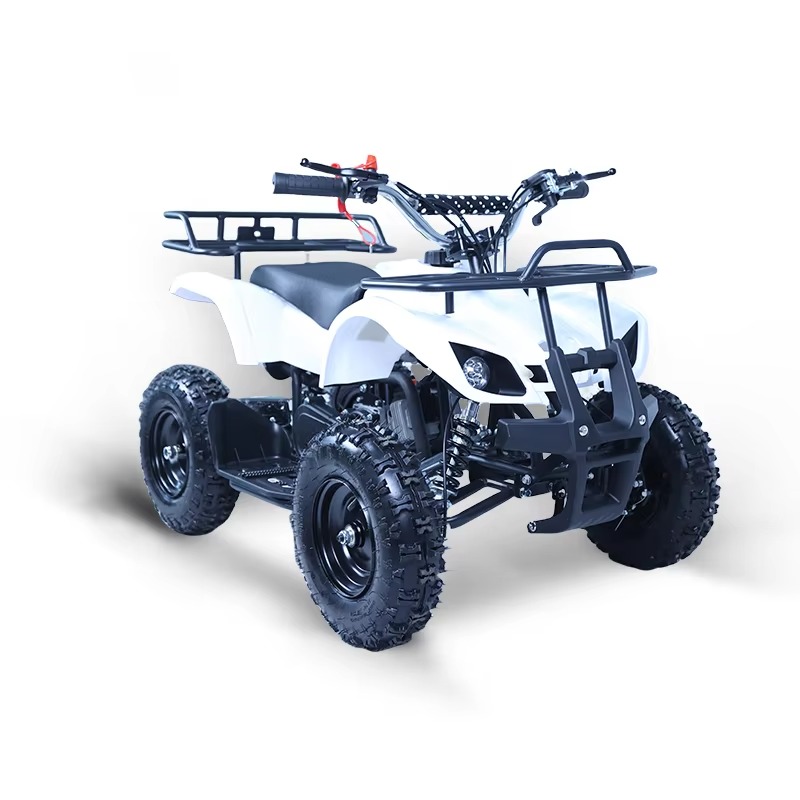 ATV Mini 49cc untuk Anak, Moto - Kids Outdoor Quad ulasan dan harga