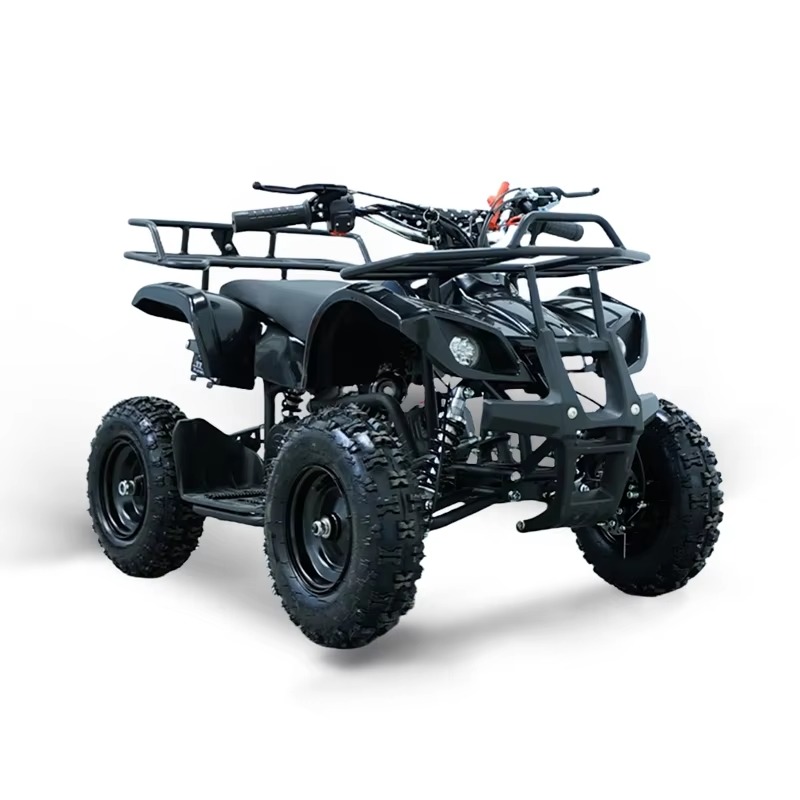 ATV Mini 49cc untuk Anak, Moto - Kids Outdoor Quad ulasan dan harga
